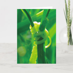 Ja, das kannst du! Rosie the Riveter Tendril Vine Karte