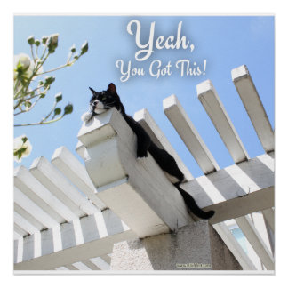 Ja, du hast dieses ermutigende Cat-Foto Got Poster