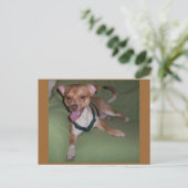 Ja, ich bin ein Chihuahua Postkarte (Stehend Vorderseite)