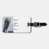 Ja, ich bin wunderschön gepäckanhänger (Vorderseite horizontal)