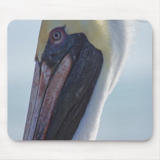 Ja, ich bin wunderschön mousepad (Vorne)