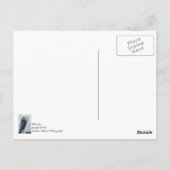 Ja, ich bin wunderschön postkarte (Rückseite)
