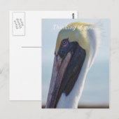 Ja, ich bin wunderschön postkarte (Vorne/Hinten)