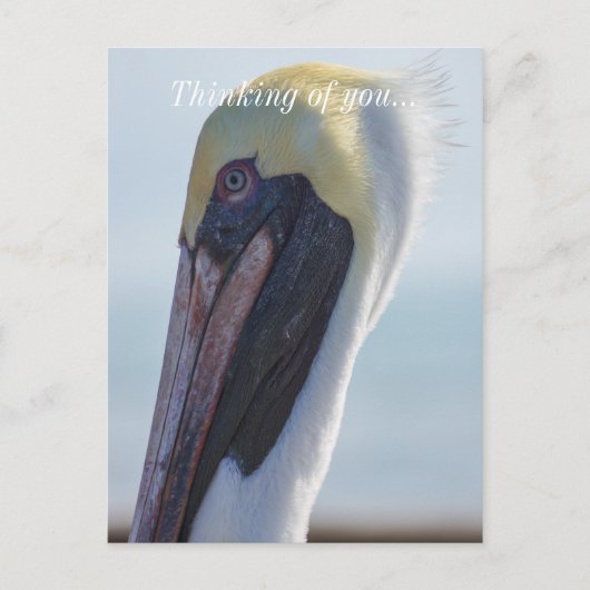 Ja, ich bin wunderschön postkarte (Vorderseite)