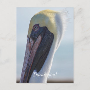 Ja, ich bin wunderschön postkarte