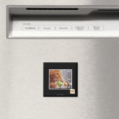 Ja, ich brauche sie alle magnet (In Situ (Geschirrspüler))