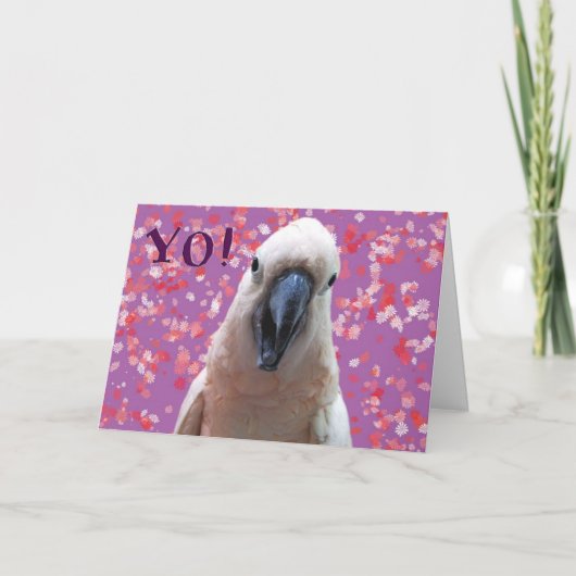 JA! KARTE (Vorderseite)