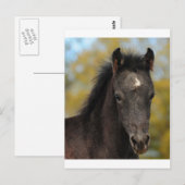 Ja? Postkarte (Vorne/Hinten)