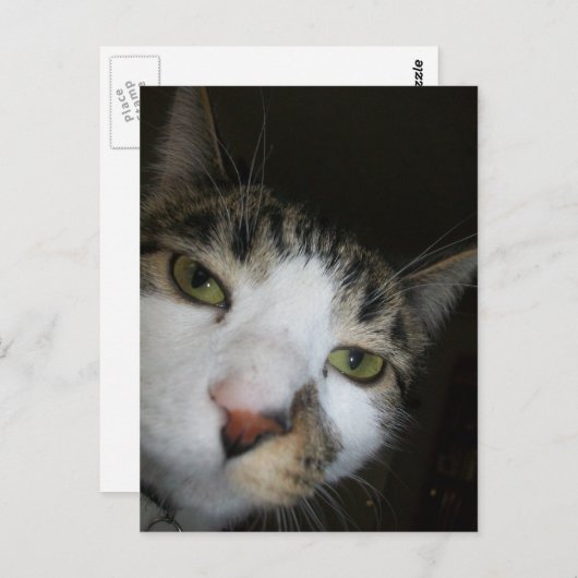 Ja! Postkarte (Vorne/Hinten)