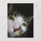 Ja! Postkarte (Vorderseite)