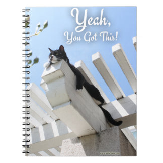 Ja, Sie haben eine Motivierend Cat Foto Anweisung  Notizblock