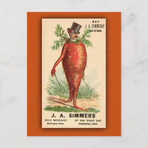 JA Simmers Seeds Vintage Ad Postkarte