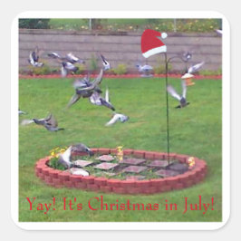 Ja! Weihnachten im Juli, Vögel am Züchter Quadratischer Aufkleber