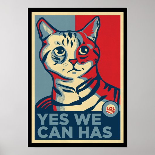 Ja, wir können LOLCAT drucken Poster (Vorne)