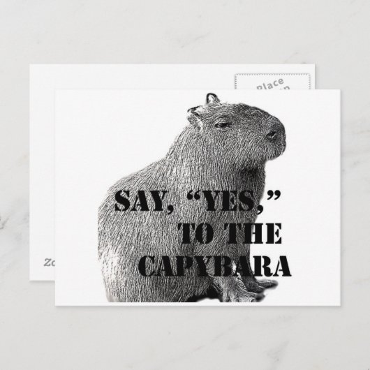 "Ja" zur Postkarte von Capybara (Vorne/Hinten)