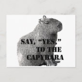 "Ja" zur Postkarte von Capybara (Vorderseite)