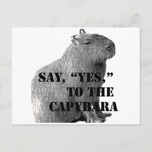 "Ja" zur Postkarte von Capybara (Vorderseite)