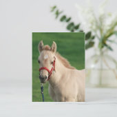 Jac Postkarte (Stehend Vorderseite)