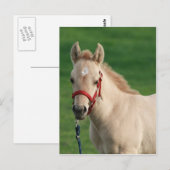 Jac Postkarte (Vorne/Hinten)