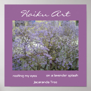 Jacaranda-Baum-Druck Poster