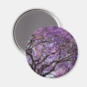 Jacaranda Baum im Frühjahr Blüte Blume Magnet (Vorderseite/Rückseite)