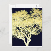 Jacaranda-Baum Postkarte (Vorne/Hinten)