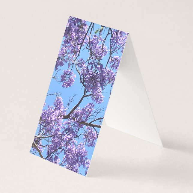 Jacaranda Blossoms (Vorderseite)