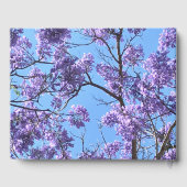 Jacaranda Blossoms Gästebuch (Rückseite)