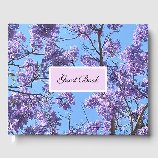 Jacaranda Blossoms Gästebuch (Vorderseite)