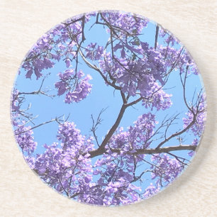 Jacaranda Blossoms Getränkeuntersetzer