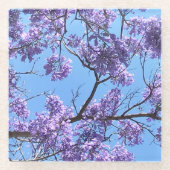 Jacaranda Blossoms Glasuntersetzer (Vorderseite)