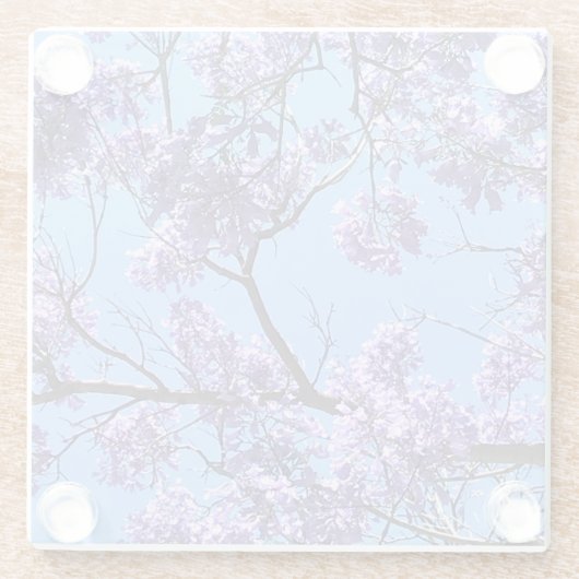 Jacaranda Blossoms Glasuntersetzer (Rückseite)