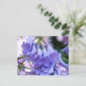 Jacaranda Blossoms Postkarte (Stehend Vorderseite)