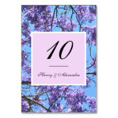 Jacaranda Blossoms Tischnummer (Rückseite)