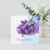 Jacaranda-Blume auf blauem Himmelshintergrund (Stehend Vorderseite)