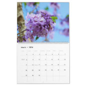 Jacaranda Blume Kalender (Mär 2026)
