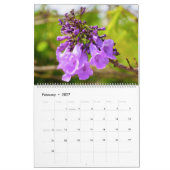 Jacaranda Blume Kalender (Feb 2027)
