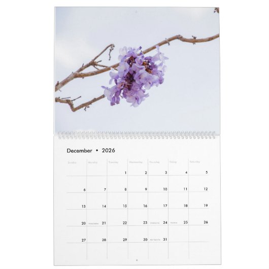 Jacaranda Blume Kalender (Dez 2026)
