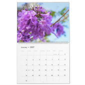 Jacaranda Blume Kalender (Jan 2027)