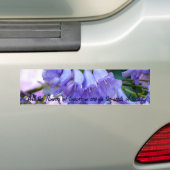 Jacaranda-Blüten Autoaufkleber (Auf Auto)