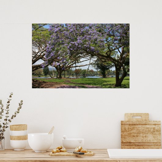 Jacaranda in Bloom Poster (Küche)