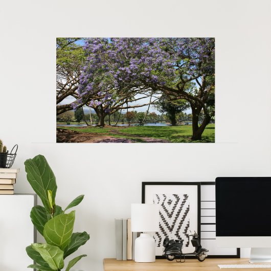Jacaranda in Bloom Poster (Heimbüro)