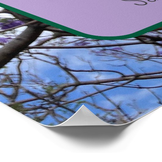 Jacaranda Lila Poster (Ecke)