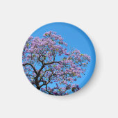 Jacaranda Magnet (Vorne)