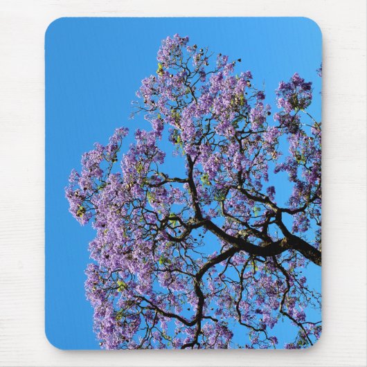 Jacaranda Mousepad (Vorne)