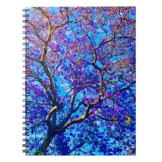 Jacaranda Notebook Notizblock (Vorderseite)