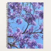 Jacaranda Planer (Vorderseite)