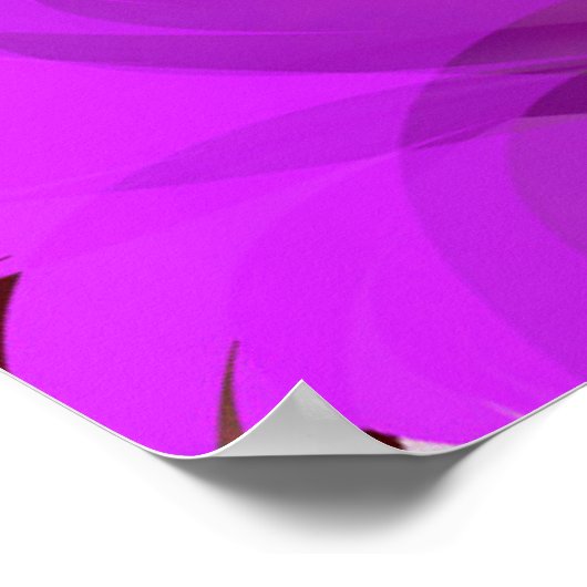 Jacaranda Poster (Ecke)