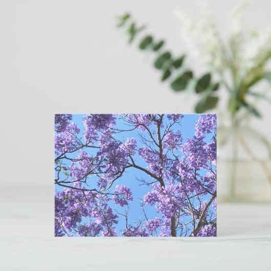 Jacaranda Postkarte (Stehend Vorderseite)