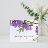 Jacaranda Purple Blumen Australien auf dem Baum Postkarte (Stehend Vorderseite)